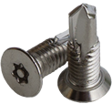 Security Hinge Screw HSP50MSC | GKL Products